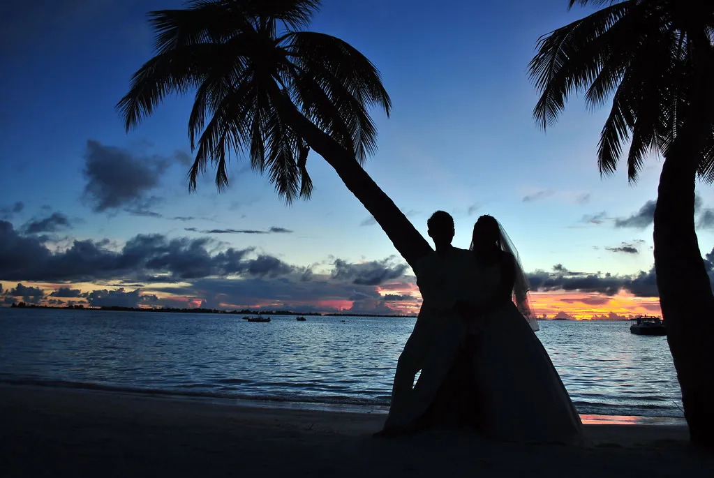 Silueta de una pareja de novios bajo palmeras al atardecer